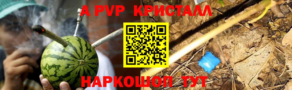 Alfa_PVP СК Хасавюрт