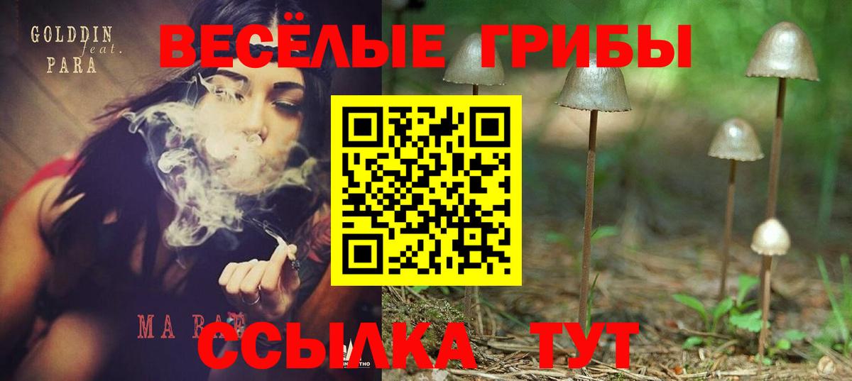 Галлюциногенные грибы MAGIC MUSHROOMS  Вход с VPN  Хасавюрт  Галлюциногенные грибы Cubensis 