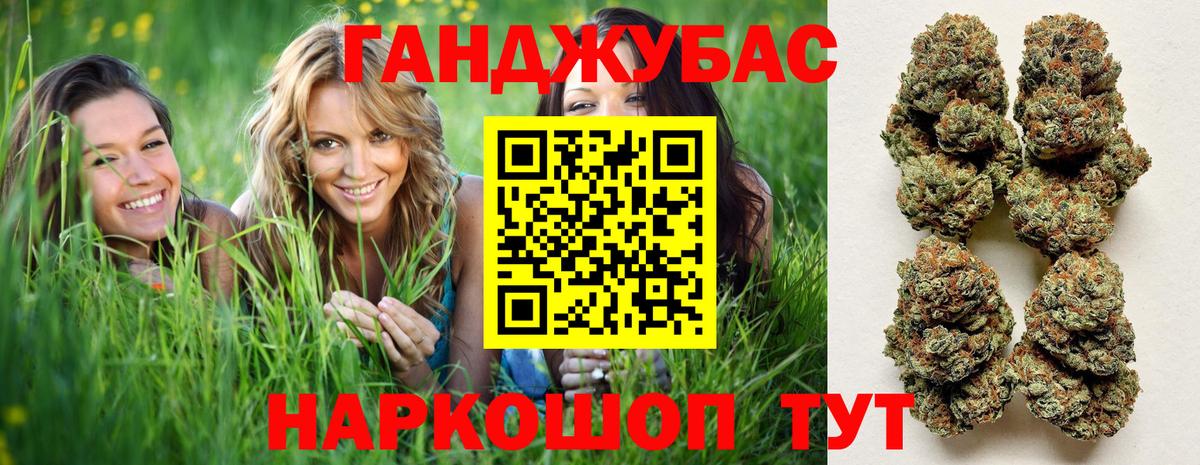 Каннабис индика  Марихуана план  Вход с VPN  Шишки марихуана THC 21%  Хасавюрт  МАРИХУАНА ГИДРОПОН 